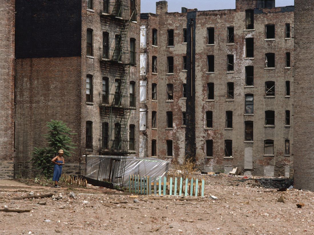 Defying the odds, a woman tends her garden in the devastated South Bronx of the 80's.