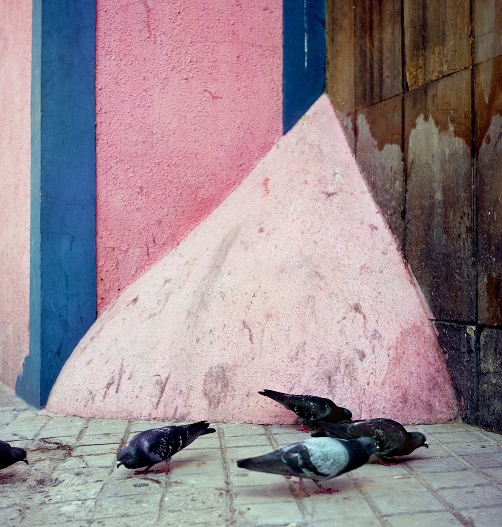 Lvds_rosario López 2