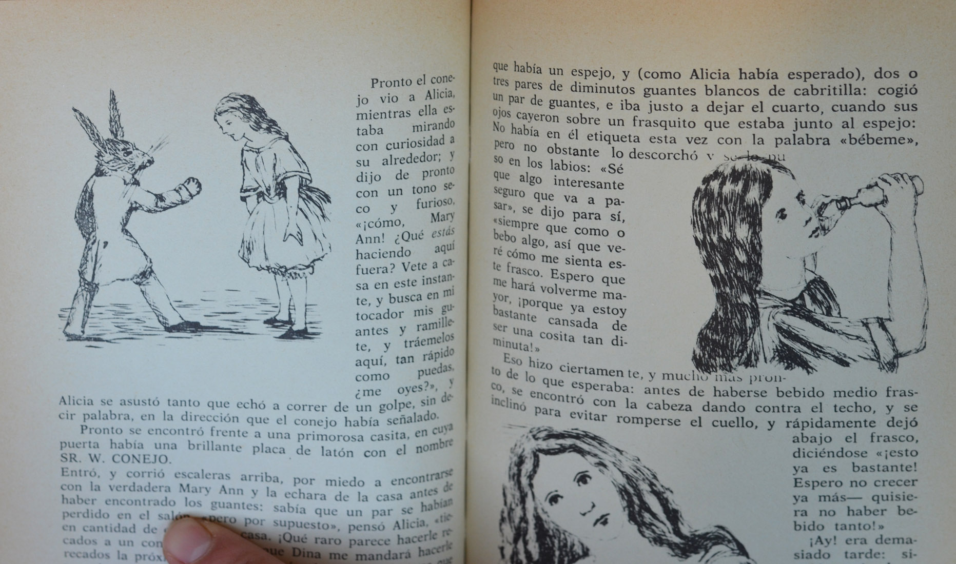 MG. Alicia Subterránea 2